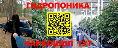 прущие крисы Бузулук