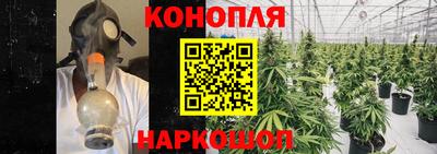 мяу мяу мука Бугуруслан