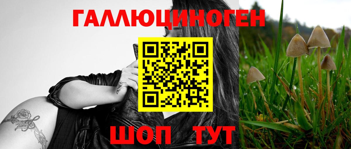 Псилоцибиновые грибы GOLDEN TEACHER  Вход с VPN  магазин    Кувандык 